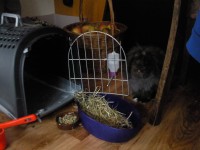 /album/vianoce-2014/fotografie0284-jpg1/