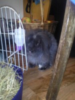 /album/vianoce-2014/fotografie0289-jpg/